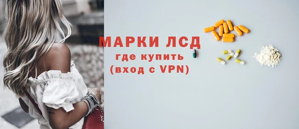 прущие грибы Иннополис