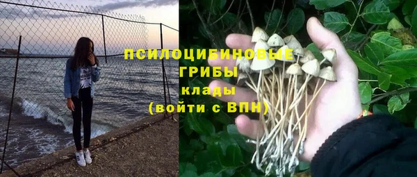 первитин Инта
