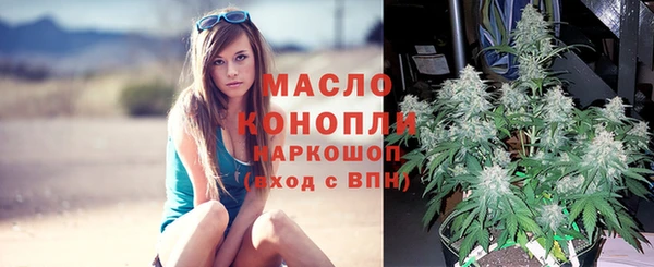 прущие грибы Иннополис