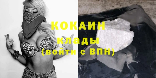 apvp Яровое