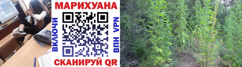 купить наркотик  Сенгилей  Каннабис OG Kush 